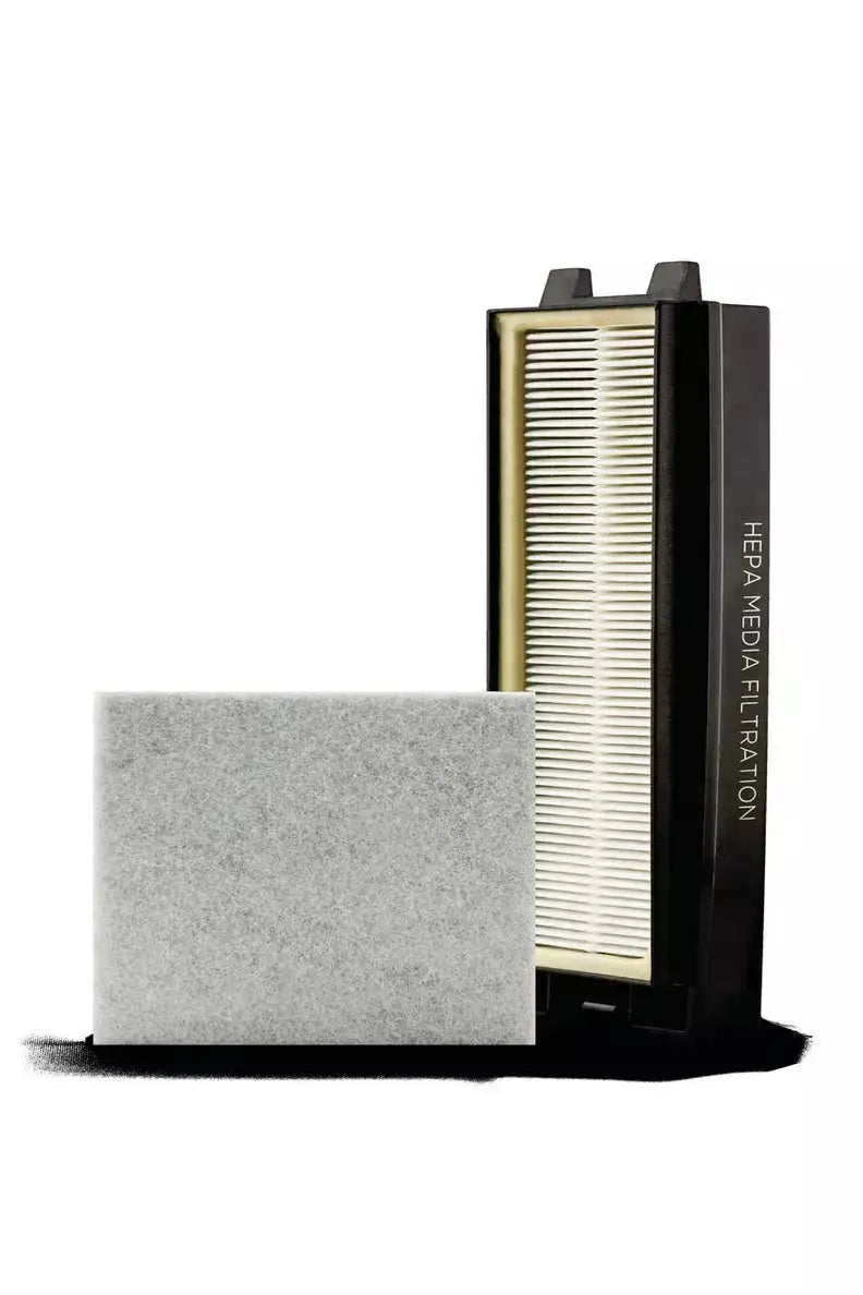Riccar R25P HEPA and Granulated Charcoal Filter Set